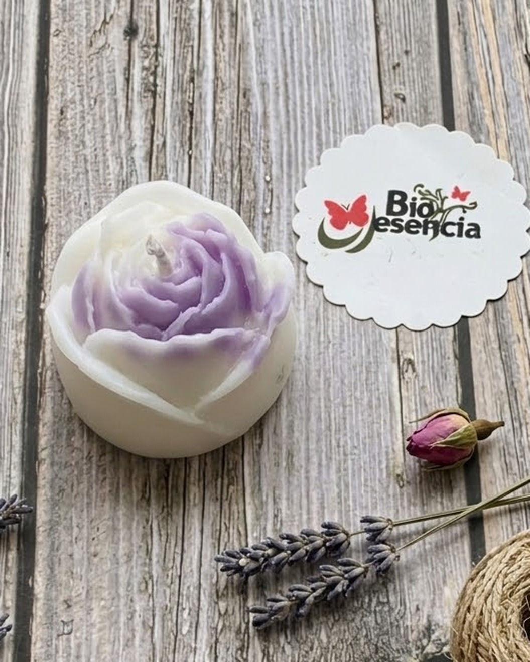 Mini Rosa · Lecho de rosas - Imagen 2
