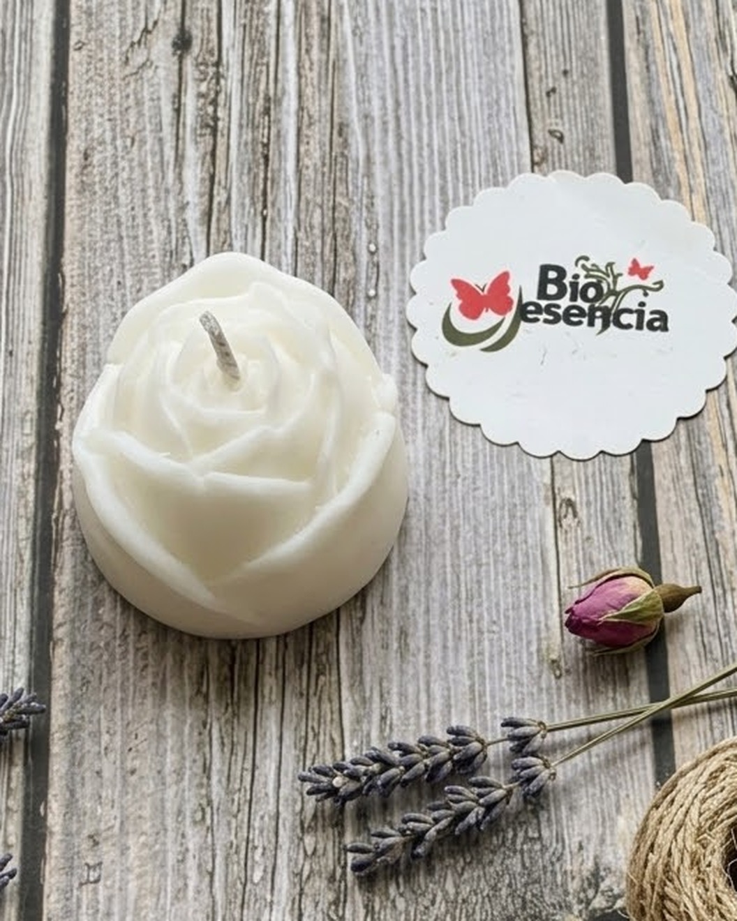 Mini Rosa · Lecho de rosas